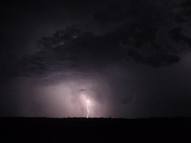 narromine2010 064.JPG